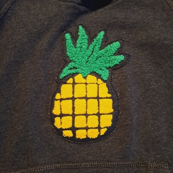 Hanna Andersson girls or boys size 120 or 6-7 pineapple hoodie, front pocket - Picture 3 of 6